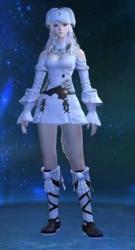 Chocobo/暗Lv100/賢Lv100/侍Lv100/FF14用アカウント販売