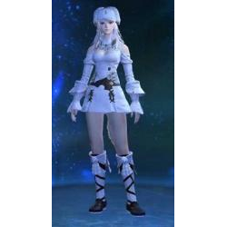 Chocobo/暗Lv100/賢Lv100/侍Lv100/FF14用アカウント販売