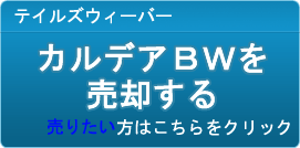 カルデアBW（KBW）買取